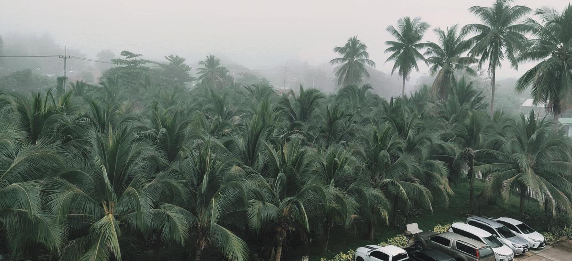 The Coconut Hotel Lampang Exterior foto